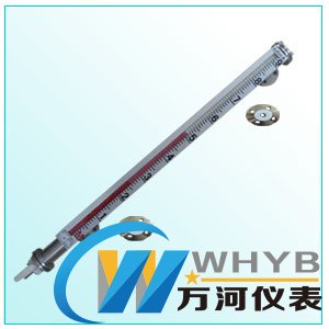 防腐磁翻板液位計(jì)