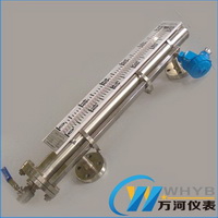 帶遠(yuǎn)傳磁翻板液位計(jì)